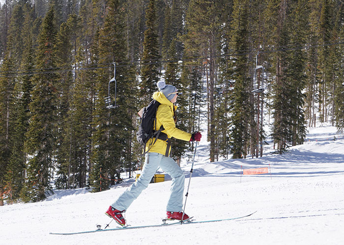 Cross-Country Skiing